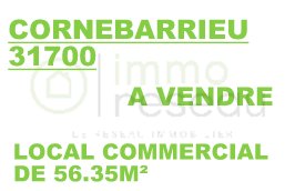 Local commercial à CORNEBARRIEU (31700) - 3011428983