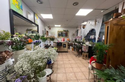 Fleuriste à NICE (06000) - 3011437808