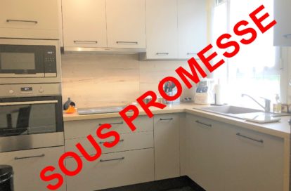 Appartement rénové à SAINT-JEAN-DE-LA-RUELLE (45140) - 3011430320