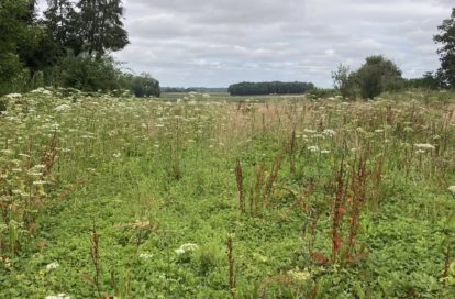 Terrain à LA FERTE GAUCHER (77320) - 3011437092