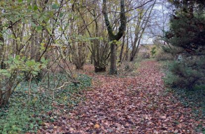 Terrain à COULOMMIERS (77120) - 3011437207