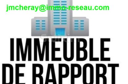 Immeuble mixte à ANGERS (49000) - 3011427459