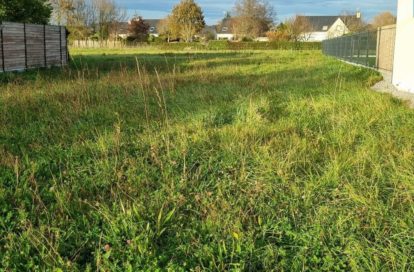 Terrain à GUERANDE (44350) - 3011437729